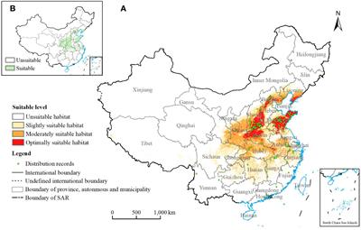 Prediction of potential suitable habitats in the 21st century and GAP analysis of priority conservation areas of Chionanthus retusus based on the MaxEnt and Marxan models